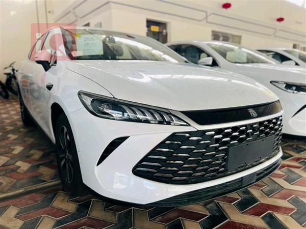 بي واي دي Qin Plus 2025 للبيع في العراق - النجف